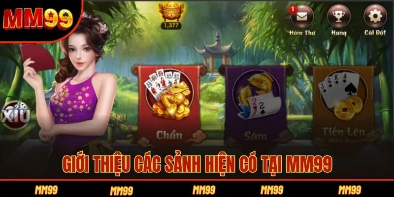 Giới thiệu các sảnh hiện có tại MM99