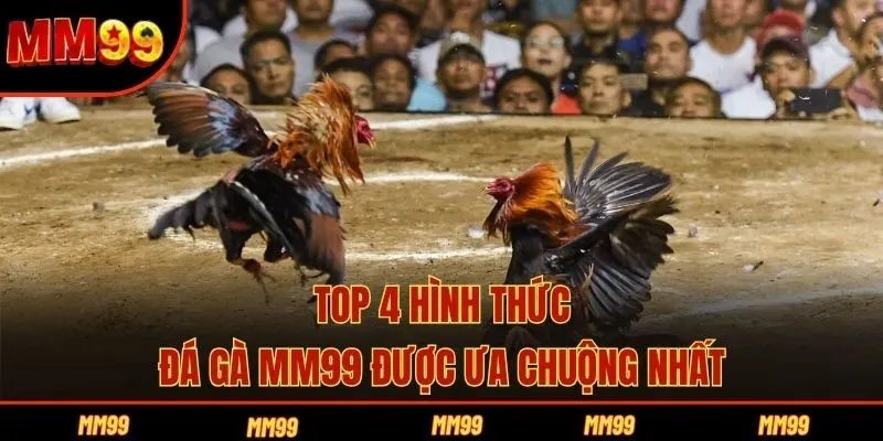 Top 4 hình thức đá gà MM99 được ưa chuộng nhất